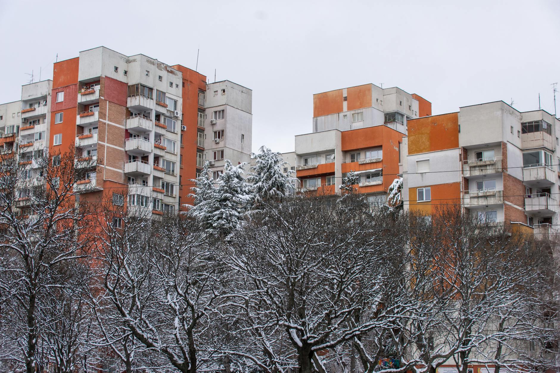 Apartment buildings with snowy trees in a wintry urban scene