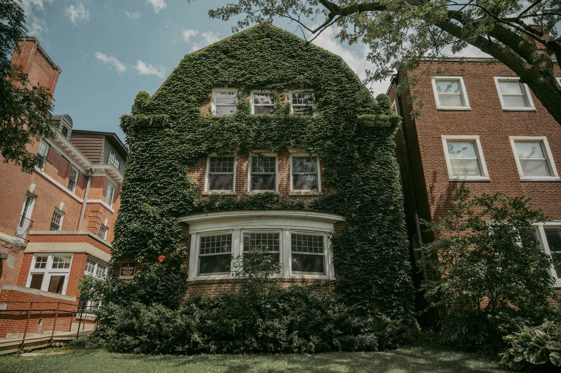 An ivy-covered historic house on a leafy Chicago street