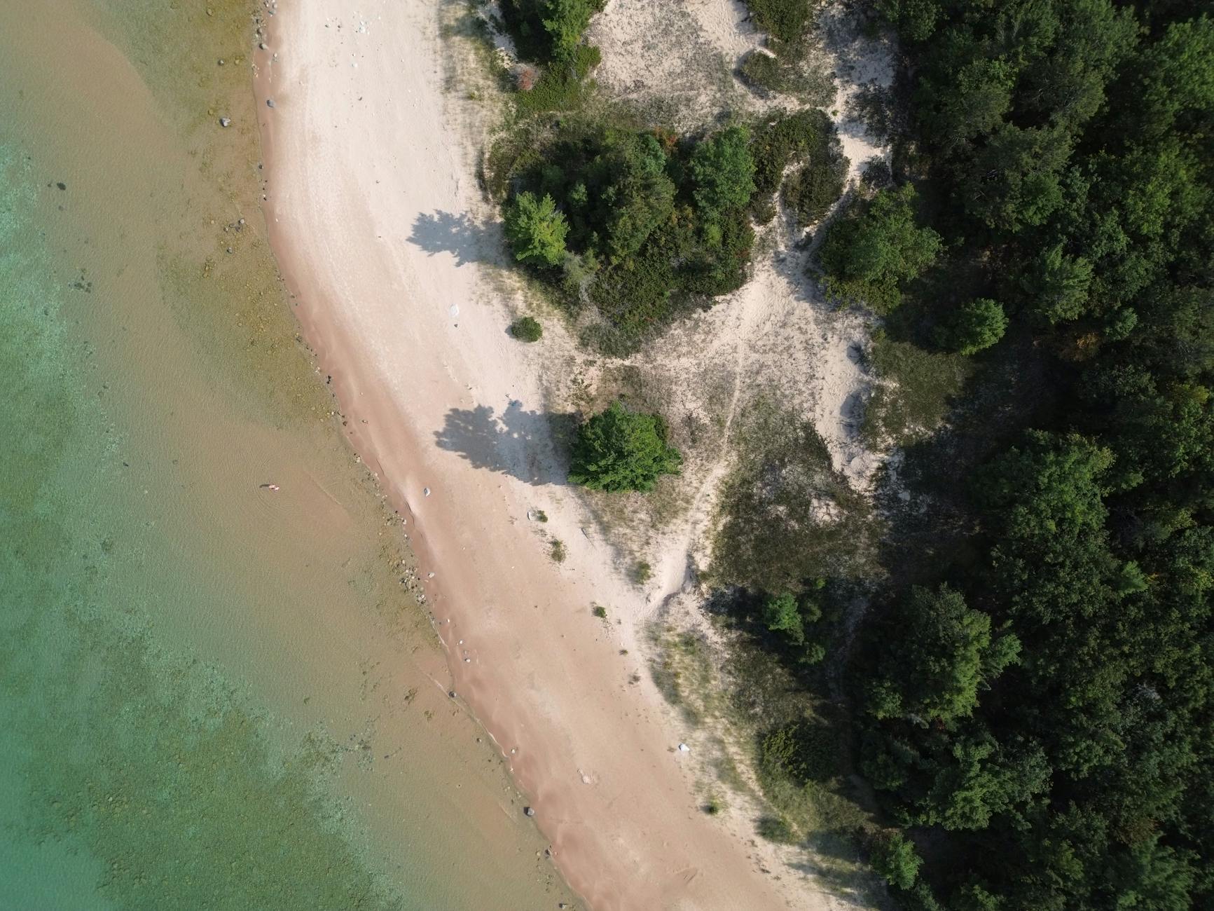 A sandy beach meeting the water from above