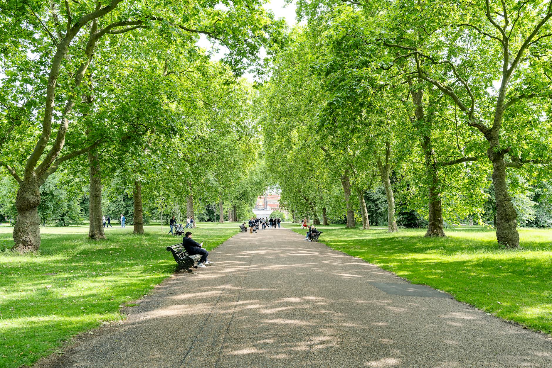 A peaceful green city park with benches and trees